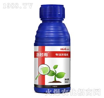 ��ù�����Ú�����-���r(sh��)��-�к�����