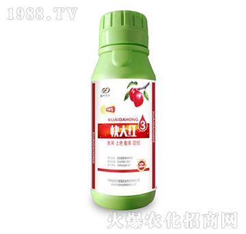 ���t-��(gu��)�S���@