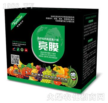 �������������x��Ĥ-��Ĥ-������