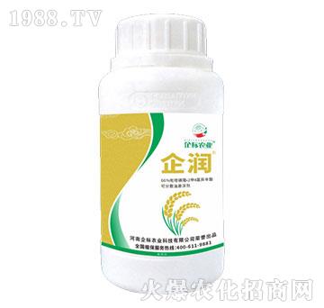 66%���׻�¡��2��4�Ȯ�����-��-���(bi��o)