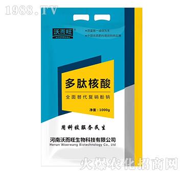 ���ĺ���-�ֶ���