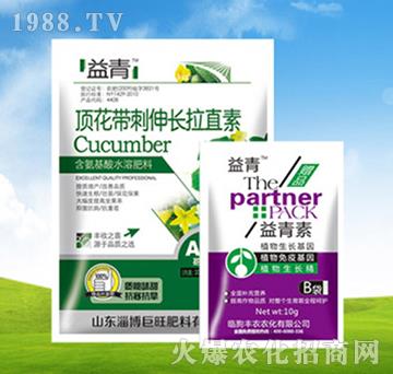頂花帶刺伸長(zhǎng)拉直素+益青素-豐農(nóng)農(nóng)化