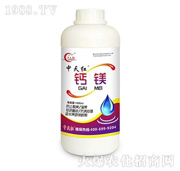 �}�V-����t