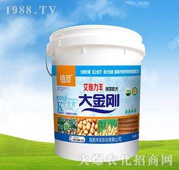 �����-ֲ��-�S�r�r��