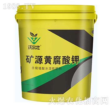 �VԴ�S�����-�֠���-���W����