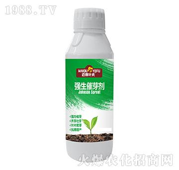 ��(qi��ng)����ѿ��-�~���~��