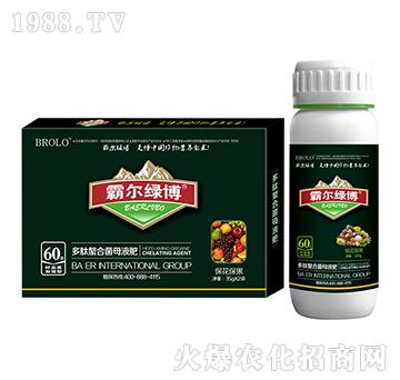 ���������Ͷ������Ͼ�ĸ