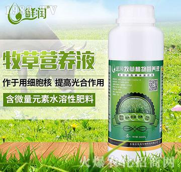 ���ݠI�B(y��ng)Һ-�r������