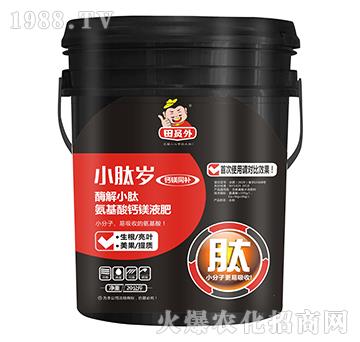 ø��С�İ������}�VҺ��-С�Ěq-�f��