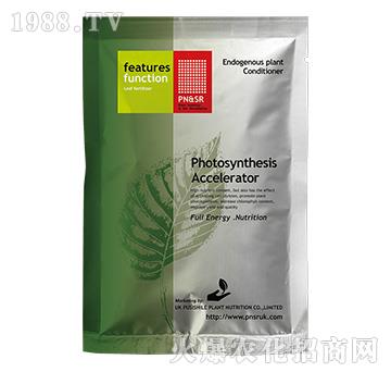 OGC.Mg��ϴ��M��-ꖹ�G��