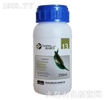 �����͠I�B(y��ng)��-����-13-ꖹ�G��