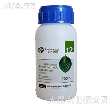 ��ϴ��M(j��n)��-����-12-ꖹ�G��