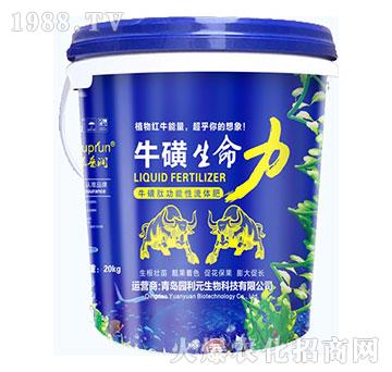 ����������-�@��Ԫ