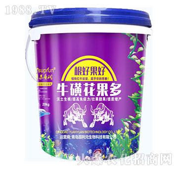 ���ǻ�����-�@��Ԫ