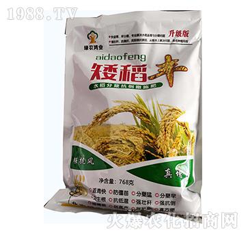 ˮ�����Y������ʩ�ʣ�768�ˣ�-�����S-�G�r(n��ng)���I(y��)