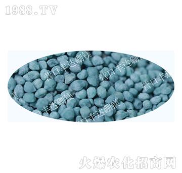 �����@���w��������-�S�_��