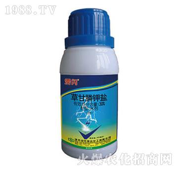 37%�ݸ����}-�Z�W-���r(li��n)��