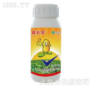 48%���x�����p��-������-���r(n��ng)(li��n)��