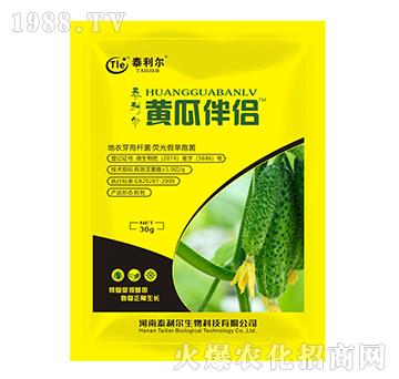 ����ѿ�ߗU�����ɹ�نΰ���-�S�ϰ�H-̩����