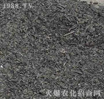 �ն�̿-���f���r�I(y��)