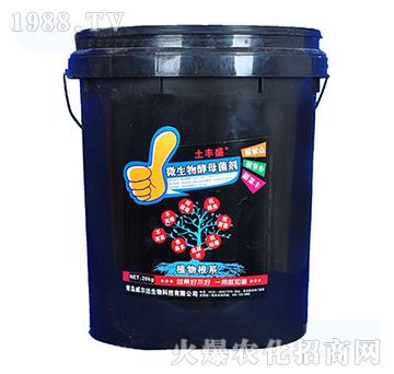 ΢�����ĸ����-���Sʢ-�����_(d��)