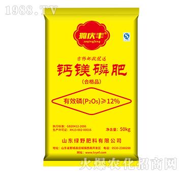 �}�V�׷�-���c�S-�GҰ