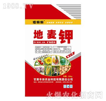 �V�����-�����-����-�S���r(n��ng)�I(y��)