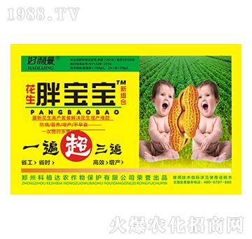 �����֌���-������-��ֲ�_