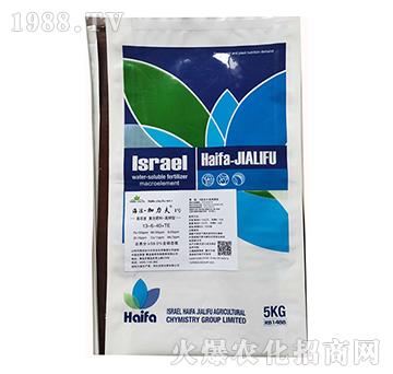 ����͏�(f��)�Ϸ���13-6-40+TE-����������1̖-����������