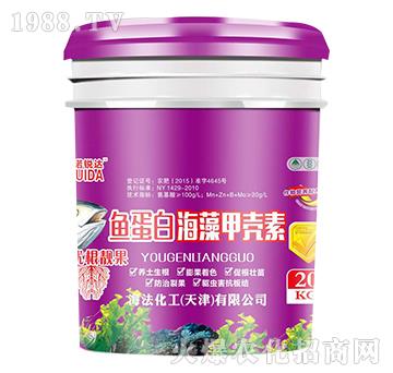 �~���׺���ך���-�Z�J�_(d��)-��������