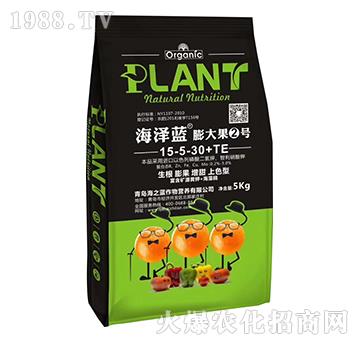 ����2̖(h��o)-�����{(l��n)-��