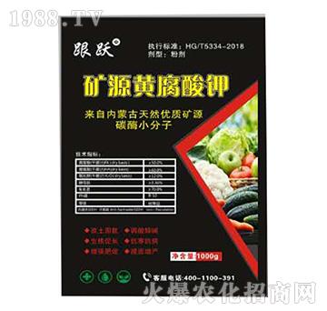 �VԴ�S�����-���S-����