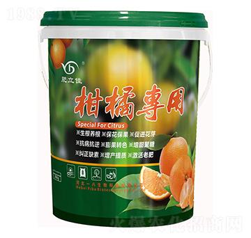 ���ٌ�(zhu��n)��-������-һ������