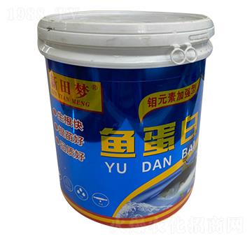 �~����-�����-�µ����