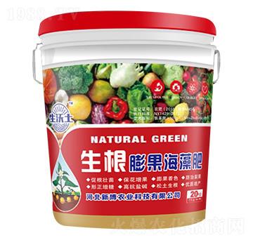 ������������-������-�²��r(n��ng)�I(y��)