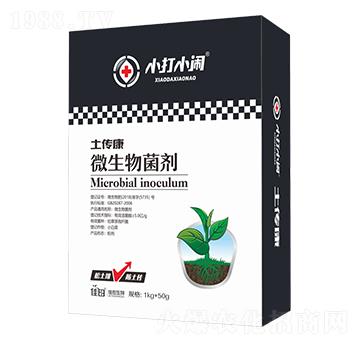 ΢�������-������-��