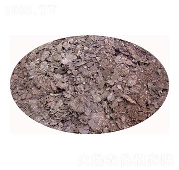 �u�S�l(f��)���ЙC(j��)��-���S����