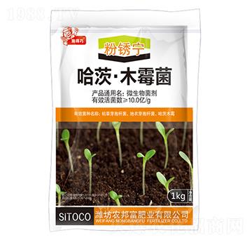 ���ġ�ľù��-���P��-