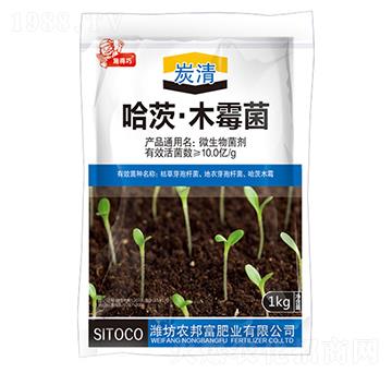 ���ġ�ľù��-̿��-�r(n��ng)