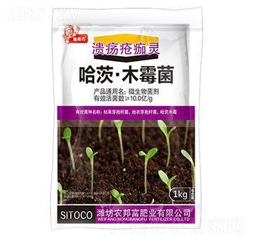 ���ġ�ľù��-��������