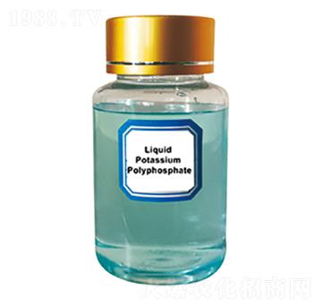 Һ�w�������-�پG����