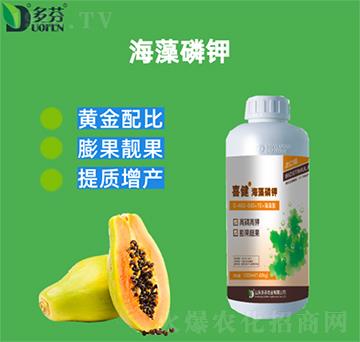 �������-ϲ��-����r(n��ng)�I(y��)