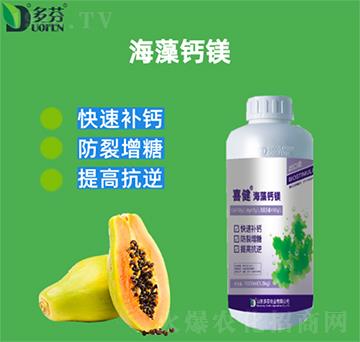 �����}�V-ϲ��-����r(n��ng)�I(y��)