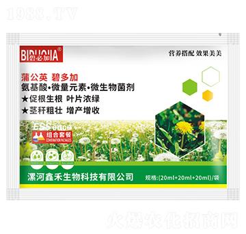 �ѹ�Ӣ�̶��-�κ�����