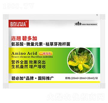 �B�N�̶��-�κ�����