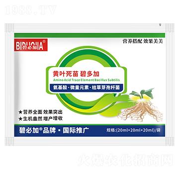 �S�~����̶��-�κ�����