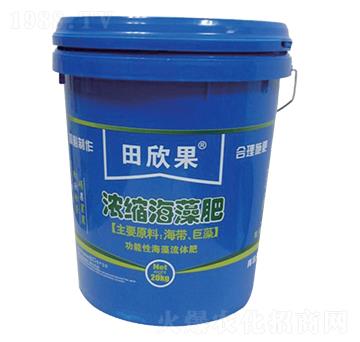 ��s�����-������-�����