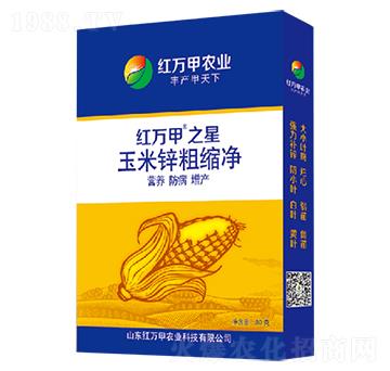 �����\�ֿs��-�t�f��֮��