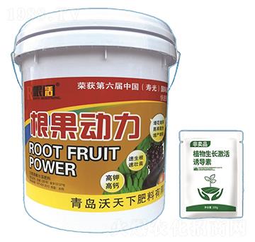 ��������-������