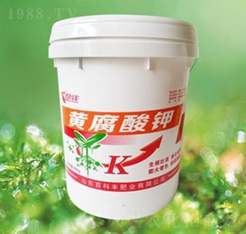 �S�����-�ٿ��S